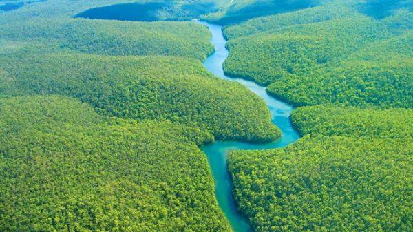 Rừng Amazon là lá phổi xanh lớn nhất thế giới