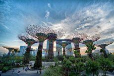 Cùng khám phá vẻ đẹp tuyệt vời của Garden by the bay tại Singapore